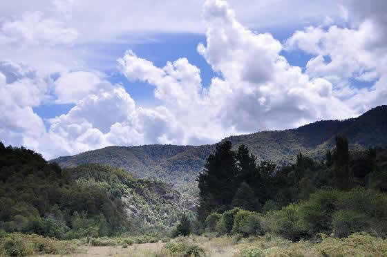 Reserva Nacional Los Huemules de Niblinto