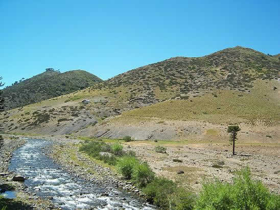 Reserva nacional Alto Bio Bio