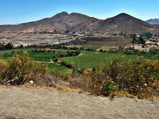 Valle del Limari