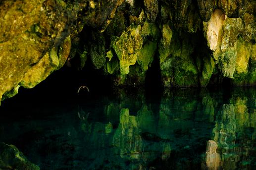 Cenote Bat Cave