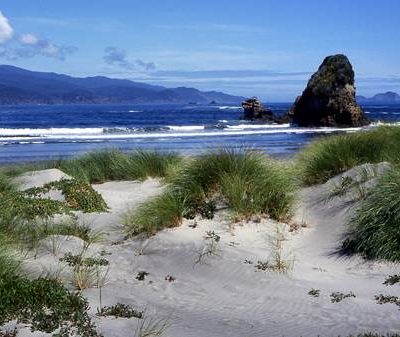 Visita el Parque Ahuenco en Chiloe