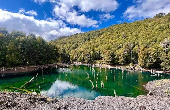 Parque Nacional Conguillío y Villarrica: senderismo y camping
